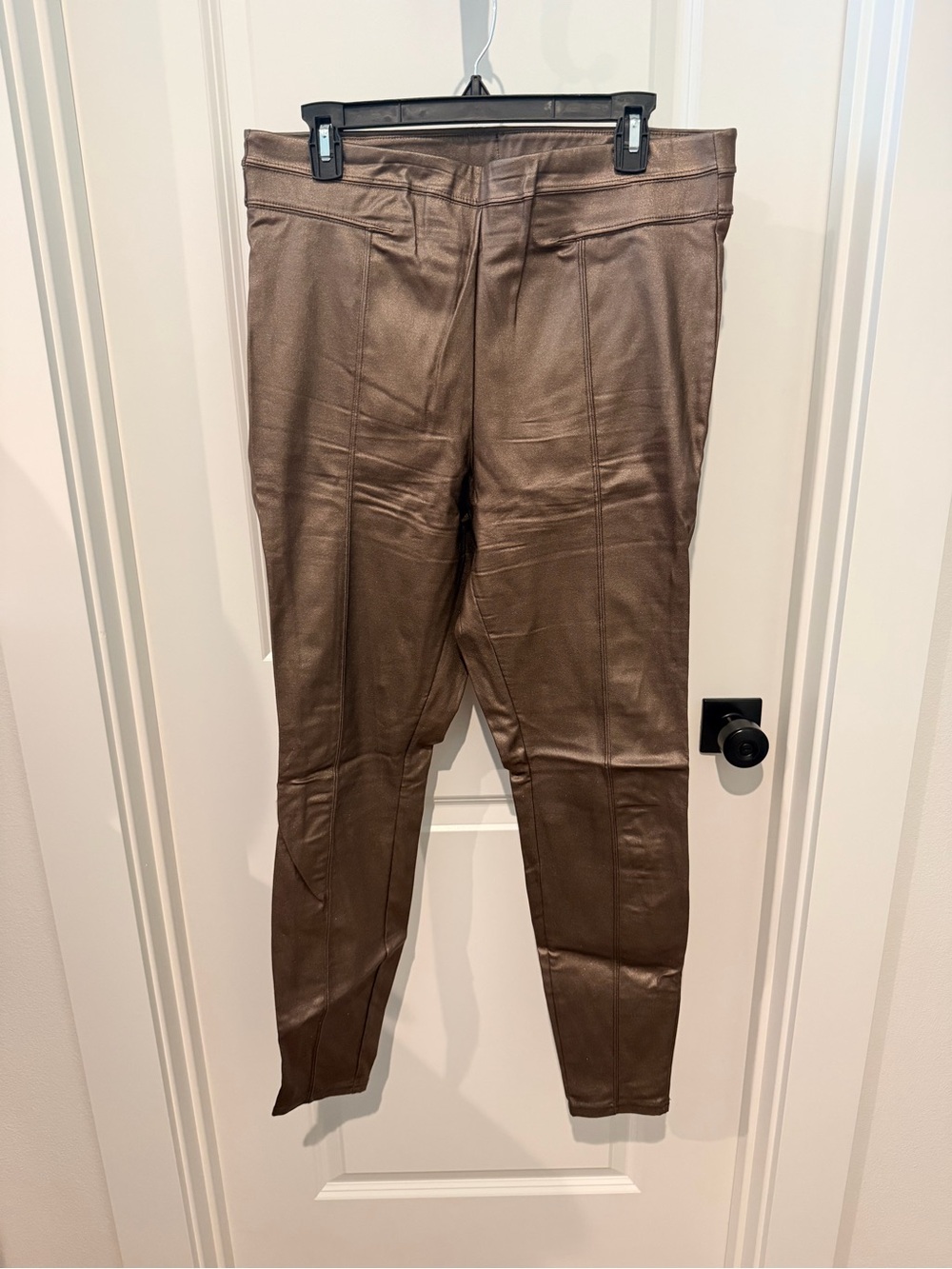 Faux Leather Skinny Pants in Rich Brown
